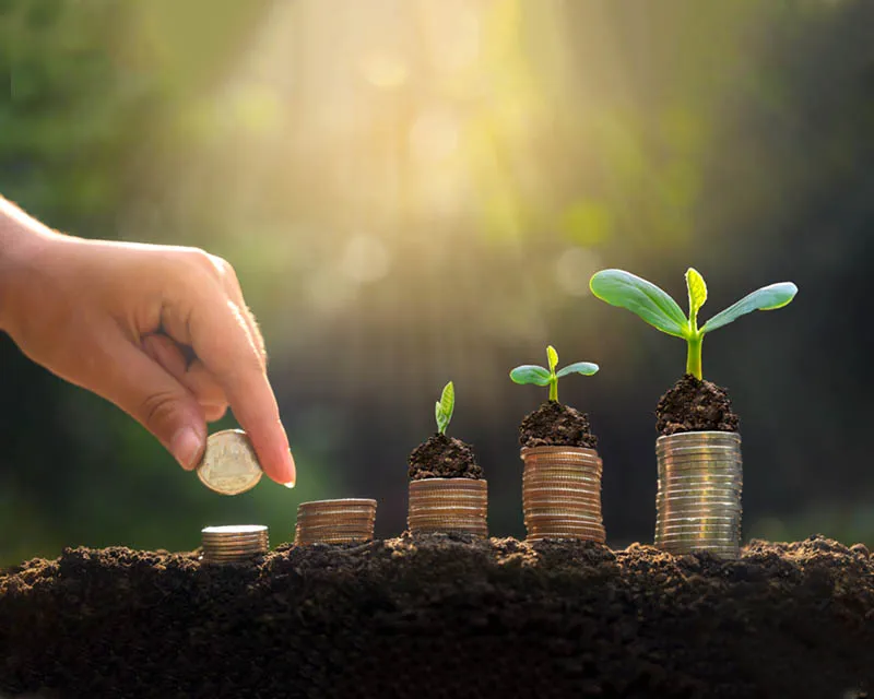 Building Foundation FOR Developemnt(BFD)